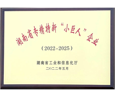 湖南省專精特新“小巨人”企業(yè)